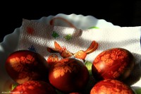 /album/fenykepgaleria/dodom-regisztracio-jpg/